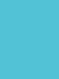[NI918-1594] Polyneon 40 5000m Sea Blue 1594
