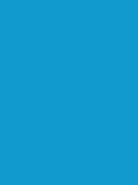 [NI918-1593] Polyneon 40 5000m Blue 1593