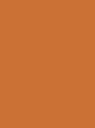 [NI918-1521] Polyneon 40 5000m Orange 1521