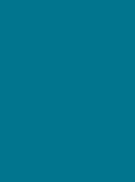 [813-3871] Burmilana 12 1000m Turquoise 3871