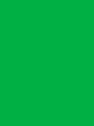 [813-3826] Burmilana 12 1000m Light Emerald 3826