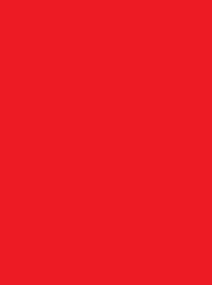 [V901-4281] RheinGold Rayon 40 5000m Red 4281