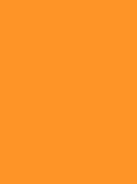 [V901-4278] RheinGold Rayon 40 5000m Orange 4278