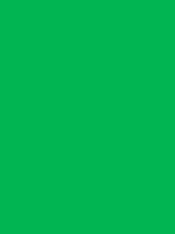 [V901-4251] RheinGold Rayon 40 5000m Green 4251