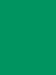 [V901-4247] RheinGold Rayon 40 5000m Green 4247