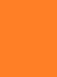 [V901-4178] RheinGold Rayon 40 5000m Orange 4178