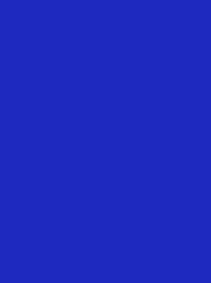 [V901-4167] RheinGold Rayon 40 5000m Royal Blue 4167