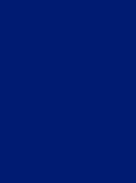 [V901-4166] RheinGold Rayon 40 5000m Blue 4166
