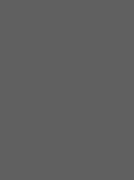 [V901-4164] RheinGold Rayon 40 5000m Dark Grey 4164