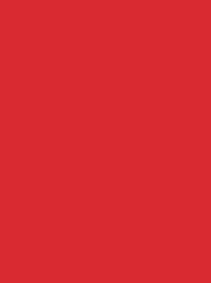 [V901-4147] RheinGold Rayon 40 5000m Red 4147