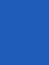 [V901-4134] RheinGold Rayon 40 5000m Blue 4134