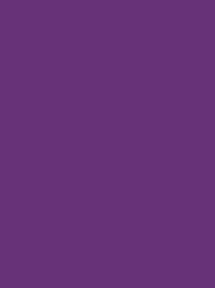 [V901-4122] RheinGold Rayon 40 5000m Purple 4122