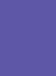[V901-4112] RheinGold Rayon 40 5000m Violet 4112