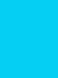 [V901-4095] RheinGold Rayon 40 5000m Blue 4095