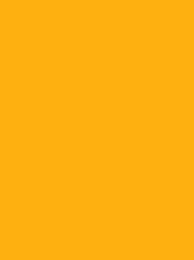 [V901-4065] RheinGold Rayon 40 5000m Orange 4065