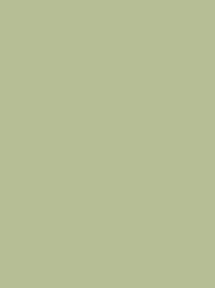 Classic 40 1000m Pale Green 1099