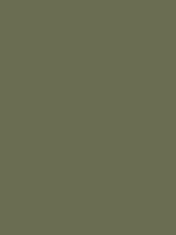 Classic 40 1000m Pale Olive 1306