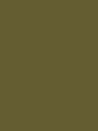 Classic 40 1000m Sage Green 1157