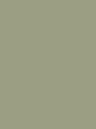 Classic 40 5000m Aspen Green 1337