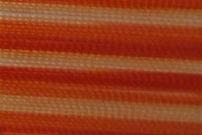 Classic 40 5000m Ombre Orange 2022