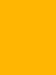 Polyneon 40 1000m Fluor Yellow 1925
