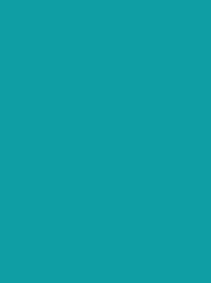 Polyneon 40 1000m Turquoise 1888