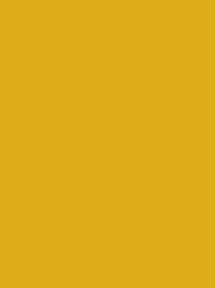 Polyneon 40 1000m Yellow 1724