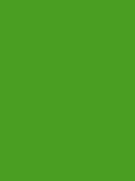 Polyneon 40 FR 2500m Bright Green 933-1701