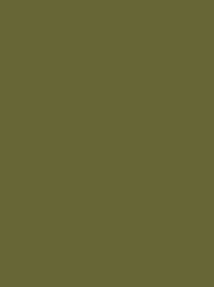 Burmilana 12 CO 1000m Moss Green 3157