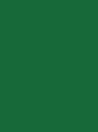 [911-1479] Classic 40 1000m Dark Green 1479