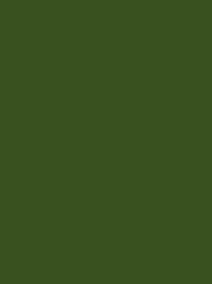 [911-1189] Classic 40 1000m Dark Green 1189