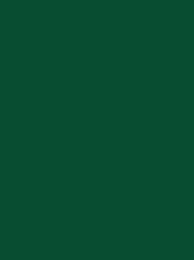 [911-1304] Classic 40 1000m Dark Green 1304