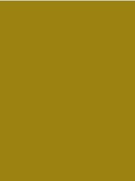 [911-1196] Classic 40 1000m Mustard 1196