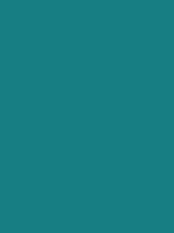 [911-1090] Classic 40 1000m Turquoise 1090