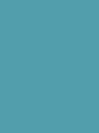[911-1289] Classic 40 1000m Turquoise 1289