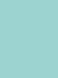 [911-1292] Classic 40 1000m Turquoise 1292