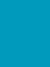[911-1295] Classic 40 1000m Turquoise 1295