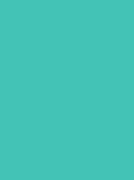 [911-1299] Classic 40 1000m Turquoise 1299