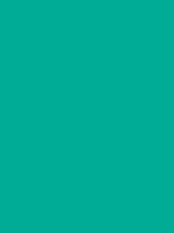 [RI910-1380] Classic 40 5000m Turquoise 1380