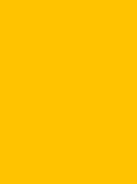 [RI910-1069] Classic 40 5000m Yellow 1069