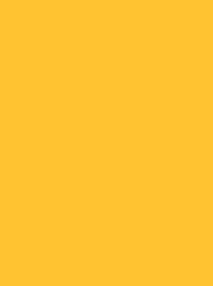 [RI910-1125] Classic 40 5000m Yellow 1125