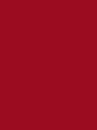[910-1481] Classic 40 5000m Red 1481