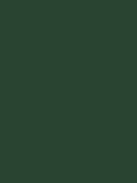 [920 1103] Classic 12 2000m Dark Green 1103