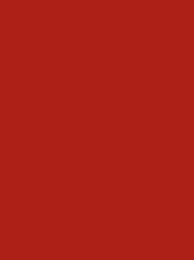 [NI919-1637] Polyneon 40 1000m Red 1637