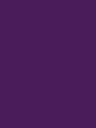 [NI919-1633] Polyneon 40 1000m Purple 1633