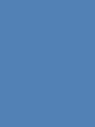[NI919-1531] Polyneon 40 1000m Blue 1531