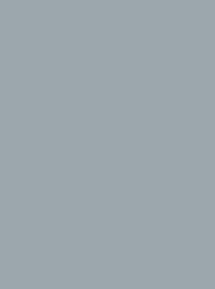 [924 1718] Polyneon 60 1500m Grey 1718