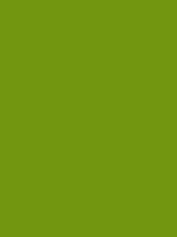 [936 1649] Polyneon 75 2500m Green 936-1649