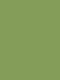 [936 1648] Polyneon 75 2500m Green 936-1648