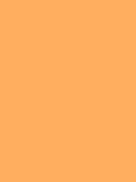 [940 7755] Frosted Matt 40 2500m Orange 7755